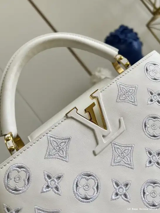 Rep LOUIS VUITTON CAPUCINES BB 0430